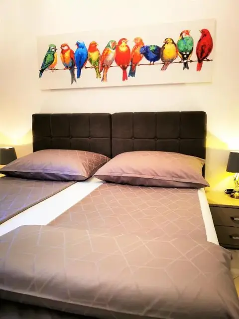 Apartman A4 · 33 m² 5